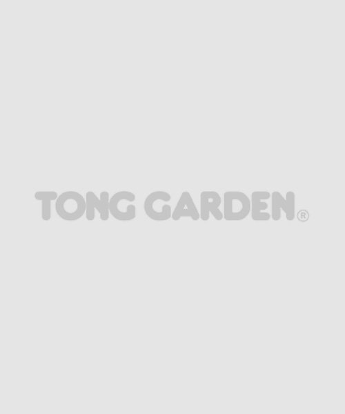 FREE -  30g Tong NOi Sea Salt Mixed Root Chips